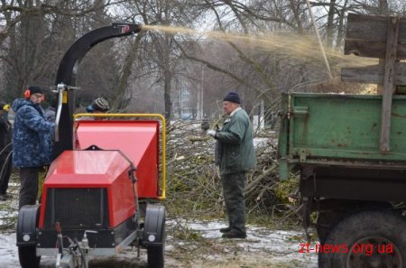 У Житомирі презентували машину для перероблення гілля