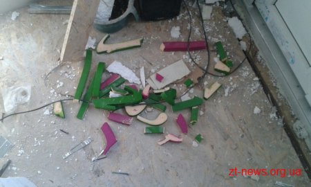 У Житомирі вандали розтрощили вивіску ще не відкритого Центру для сім'ї, жінок та дітей