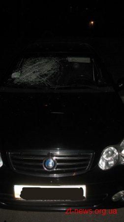 П'яний хуліган у дворі житлового будинку, розбив скло у 6 автомобілях
