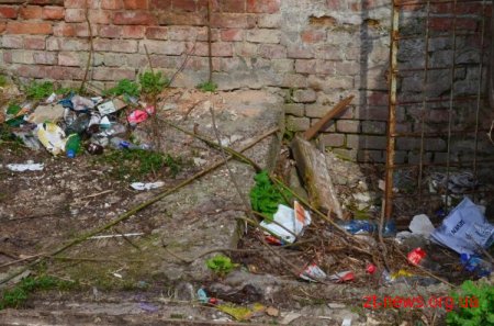 У Житомирі триває загальноміська толока: десь прибрано, десь ні