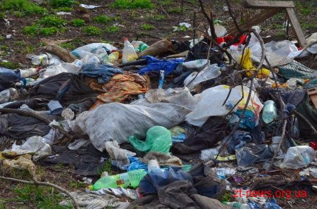 У Житомирі триває загальноміська толока: десь прибрано, десь ні