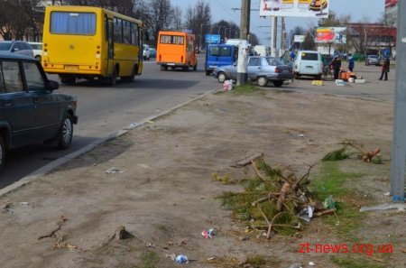 У Житомирі триває загальноміська толока: десь прибрано, десь ні