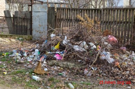 У Житомирі триває загальноміська толока: десь прибрано, десь ні