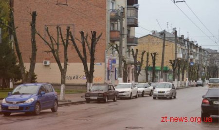 КП «Зеленбуд» проводить планове кронування дерев