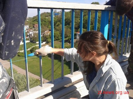 У Житомирі Активісти пофарбували міст в парку у національні кольори