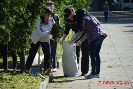 Житомиряни озеленили місто на 5 тисяч квітів