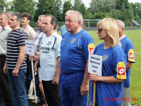 У Романові відбувся фінал обласної спартакіади серед збірних команд органів місцевого самоврядування