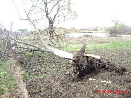 Чуднівщина постраждала від буревію