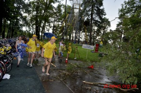 Дерево в житомирському гідропарку мало не впало на голови спортсменів