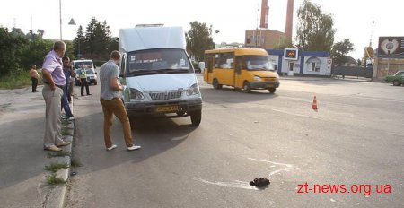У Житомирі маршрутка збила пішохода