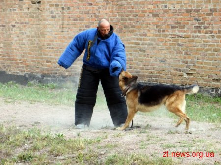 У Коростенській виправній колонії змагалися кінологи
