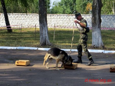 У Коростенській виправній колонії змагалися кінологи