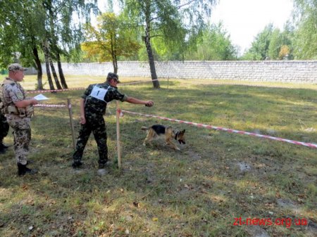 У Коростенській виправній колонії змагалися кінологи
