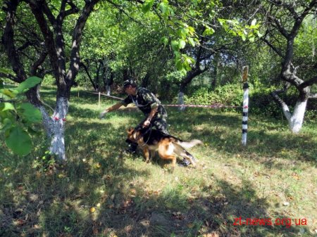 У Коростенській виправній колонії змагалися кінологи
