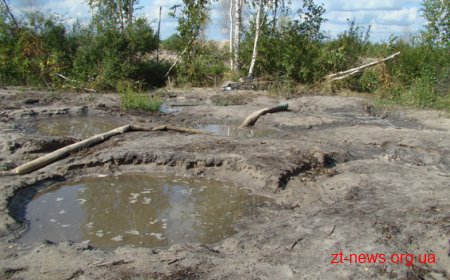 На Житомирщині тривають бурштинові війни. Серед постраждалих – лісівники