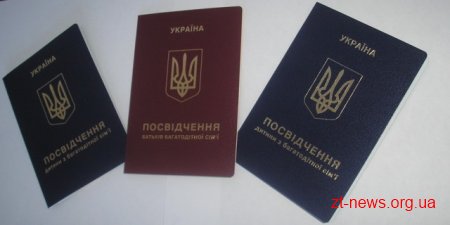 Житомир сам забезпечить дітей з багатодітних родин відповідними посвідченнями