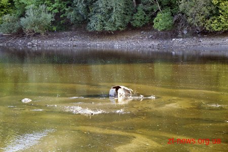 Житомирський РЕМ не причетний до зниження рівня води у річці Тетерів