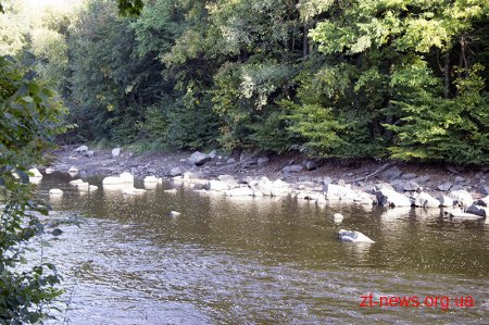 Житомирський РЕМ не причетний до зниження рівня води у річці Тетерів