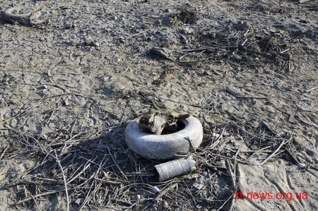 Житомирський РЕМ не причетний до зниження рівня води у річці Тетерів