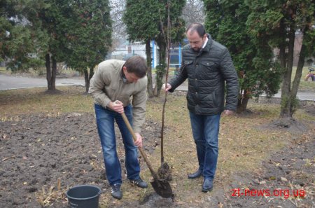 У Житомирі стартувала акція «Озелени місто»