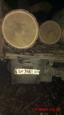 На Житомирщині лісівники затримали нелегальних лісорубів