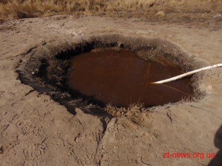 В Словечанському лісгоспі затримали "чорних" копачів бурштину