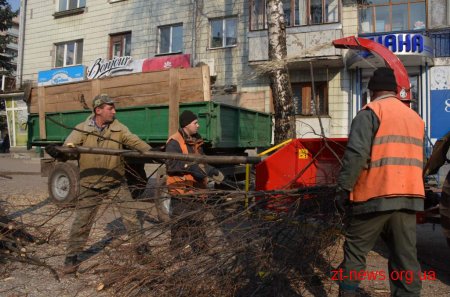 У Житомирі проводиться планове кронування дерев
