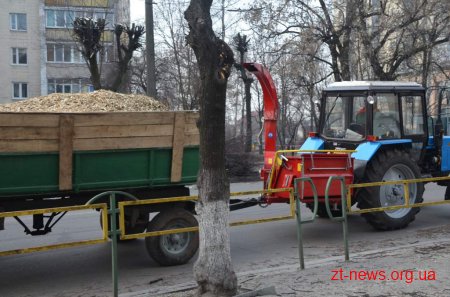 У Житомирі проводиться планове кронування дерев