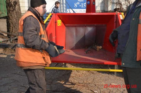 У Житомирі проводиться планове кронування дерев