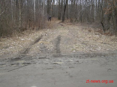 На Житомирщині правоохоронці затримали 3 підозрюваних у вбивстві лісника