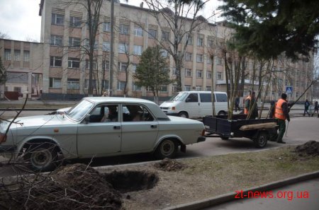У Житомирі розпочато місячник весняного прибирання міста