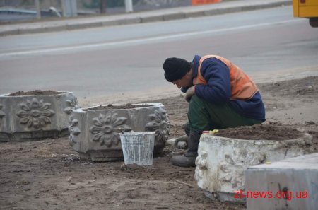 У Житомирі розпочато місячник весняного прибирання міста