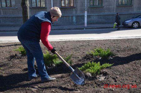 У рамках місячника благоустрою на вулицях міста висаджують дерева