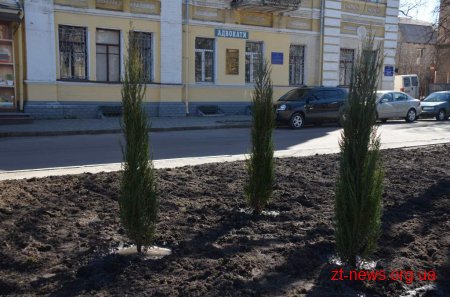 У рамках місячника благоустрою на вулицях міста висаджують дерева