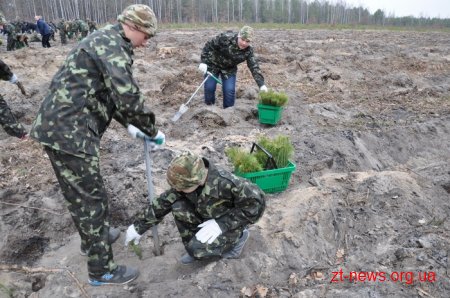 Житомирські посадовці висадили ліс