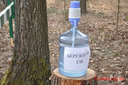 Житомирські посадовці висадили ліс