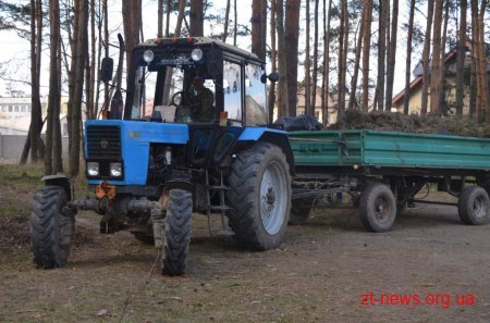 Студентська молодь Житомира долучилася до загальноміського прибирання