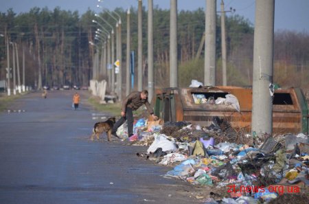 У Житомирі працює рейдова група на вул. Радонова