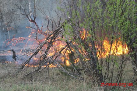 Рекомендації населенню щодо поведінки в умовах пожеж