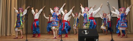 У Житомирі відбувся фестиваль-конкурс «Шукаємо та ростимо таланти України»
