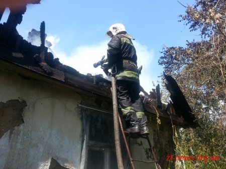 У Житомирі під час пожежі вогнеборці врятували чоловіка
