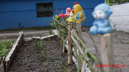 Житомирські ОСББ можуть взяти пільгові кредити