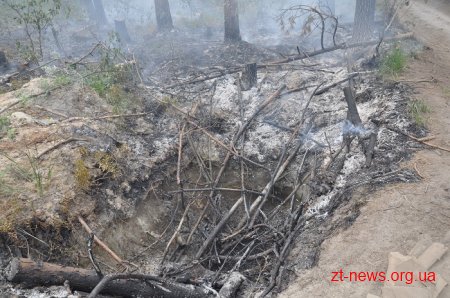 Обласне керівництво вимагає перевірити причетність силових структур до незаконного видобутку бурштину