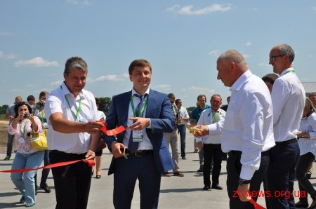 На Житомирщині корів доїтимуть роботи