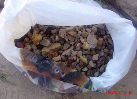 На Житомирщині працівники СБУ вилучили у скупника 230 тисяч доларів та 23 кіло бурштину
