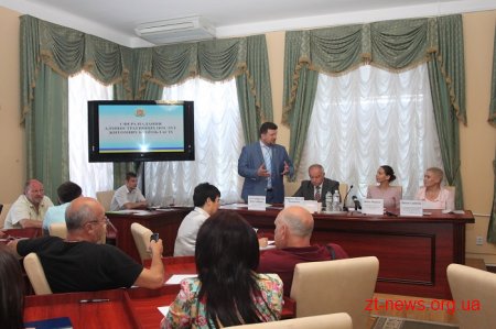 Яніка Мерило розповіла про електронне урядування на Житомирщині