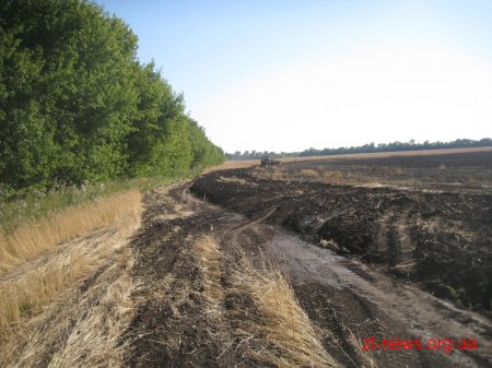 На Житомирщині згоріло 80 га пшениці