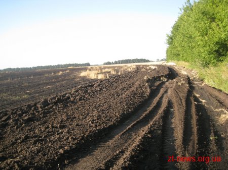 На Житомирщині згоріло 80 га пшениці