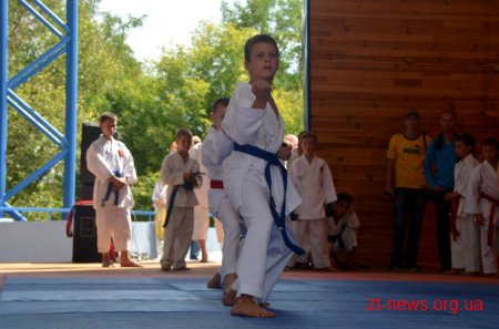 У Житомирі відбувся перший відкритий турнір з карате-до