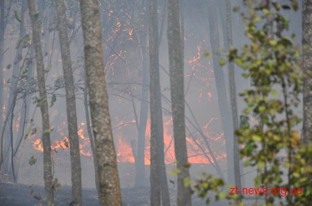 Житомиряни знову скаржились на задимленість вулиць. Рятувальники кажуть, що дим – з полігону